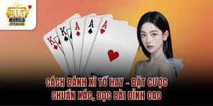Cách Đánh Xì Tố Hay – Đặt Cược Chuẩn Xác, Đọc Bài Đỉnh Cao