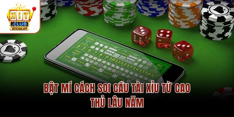 Bật mí cách soi cầu tài xỉu từ cao thủ lâu năm